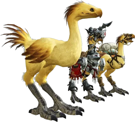FF14陆行鸟满级攻略与召唤方法详解