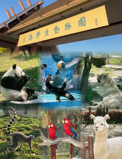 上海野生动物园门票-上海野生动物园门票攻略